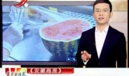 晨光最新爆料新闻视频播放,揭秘新闻视频背后的惊人真相