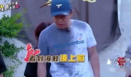 黄渤最近爆料新闻视频下载,揭秘娱乐圈幕后真相